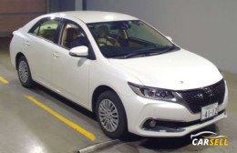 TOYOTA ALLION  2019 PEARL