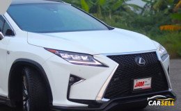 Lexus RX 300 F Sport 2020 Reacondition Car Sale